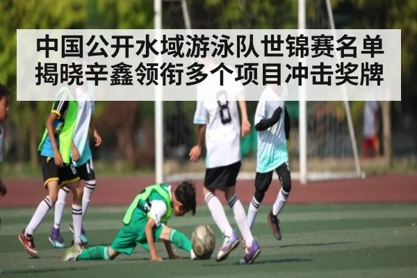 中国公开水域游泳队世锦赛名单揭晓辛鑫领衔多个项目冲击奖牌