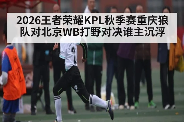 2026王者荣耀KPL秋季赛重庆狼队对北京WB打野对决谁主沉浮